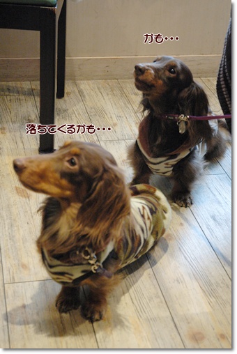 souther_20100114l