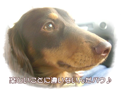 souther_20090405d