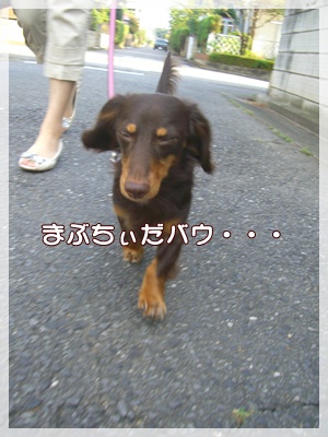 souther_20090831b
