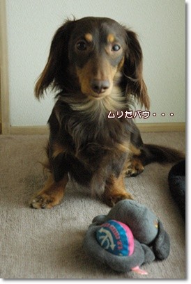 souther_20110507f