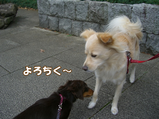 souther_20081112i