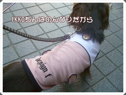 souther_20090404d