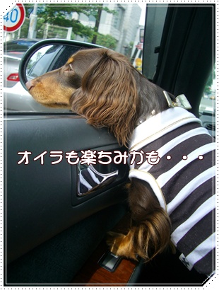 souther_20090707b