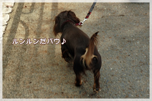 souther_20090926a