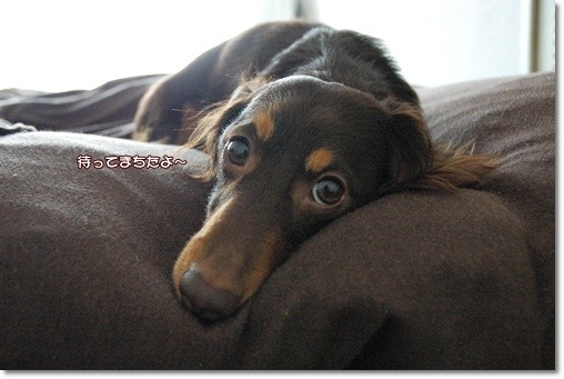 souther_20110430g