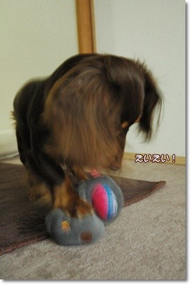 souther_20110507e