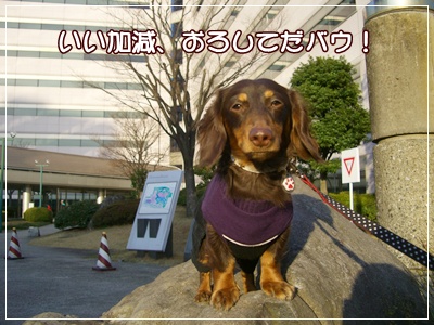 souther_20090225c