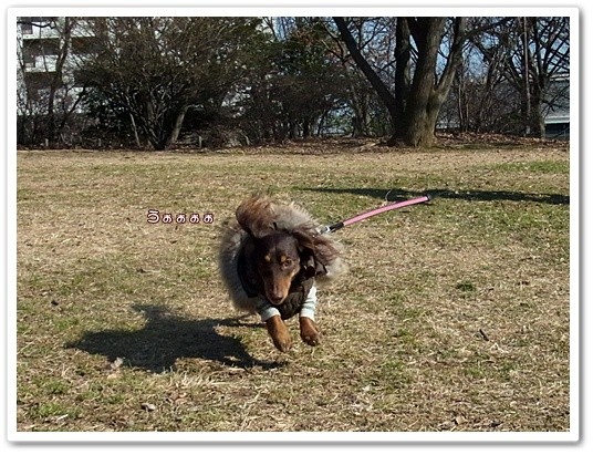 souther_20120214e