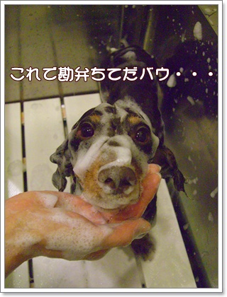 souther_20090617c