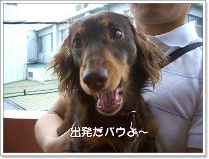 souther_20090607a