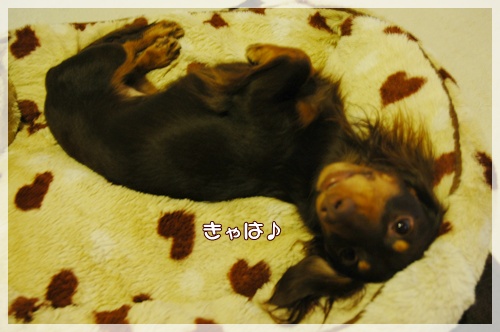 souther_20091112a