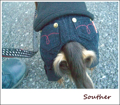 souther_20090225j