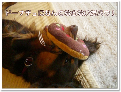 souther_20090626f