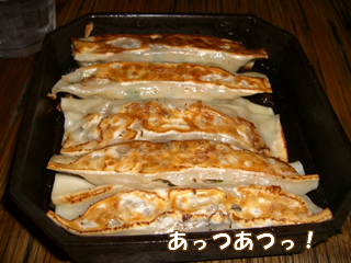 souther_20081117e