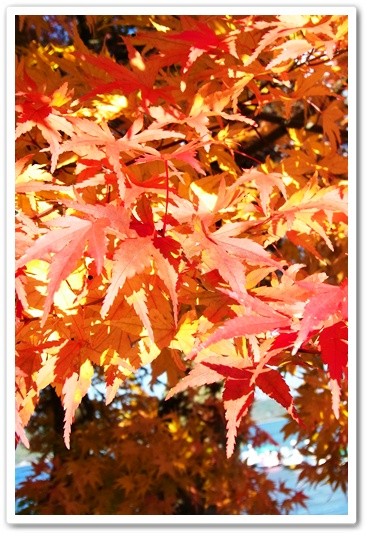 souther_20121219n