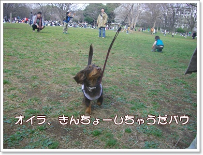 souther_20090406h