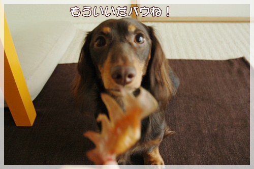 souther_20091014g