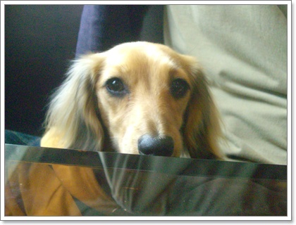 souther_20090406b