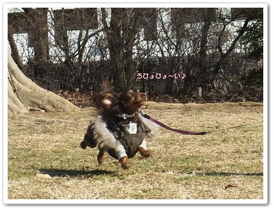 souther_20120214f