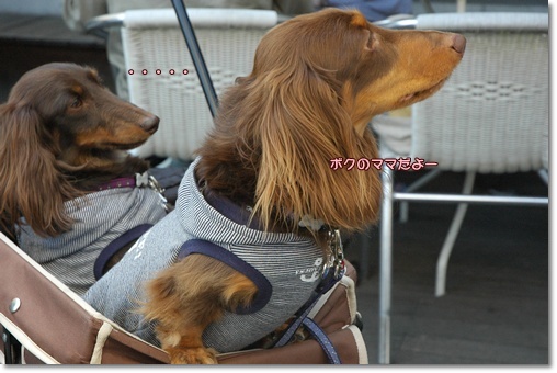 souther_20100608i