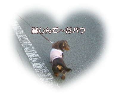 souther_20090404f
