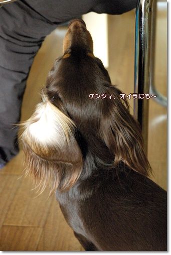 20101226d