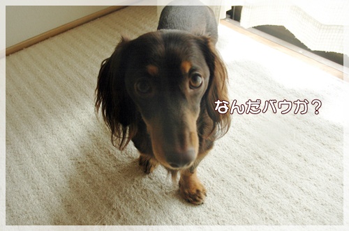 souther_20091021b