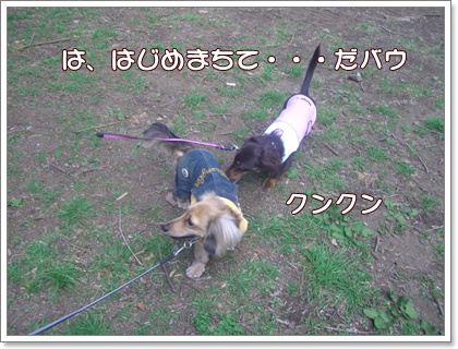 souther_20090406e