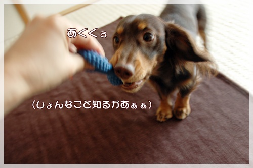 souther_20091109g
