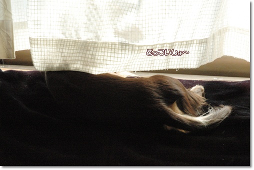 souther_20100215b
