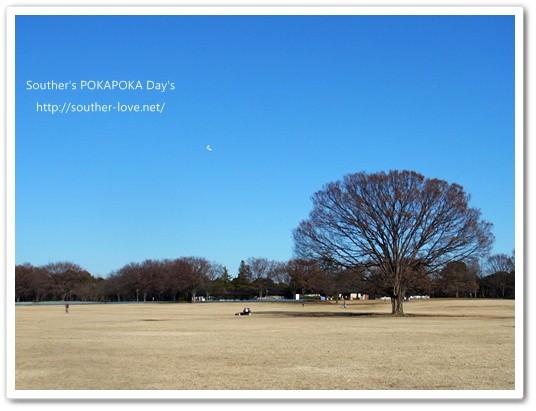 souther_20120208b