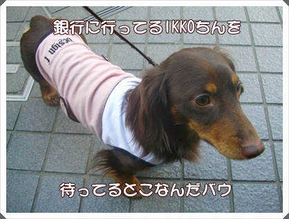 souther_20090404c