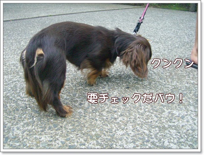 souther_20090607f