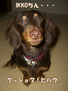 souther_20081228d