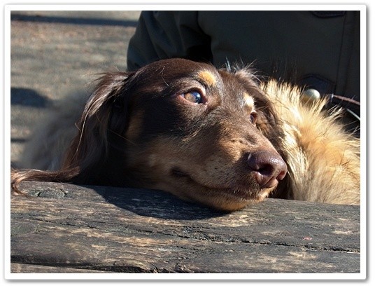 souther_20120214d