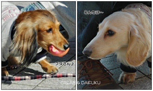 20110223b