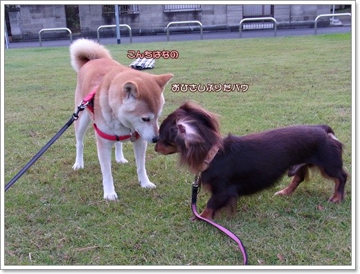 souther_20111117g