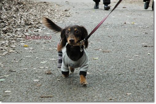 souther_20101101e