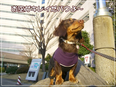 souther_20090225b