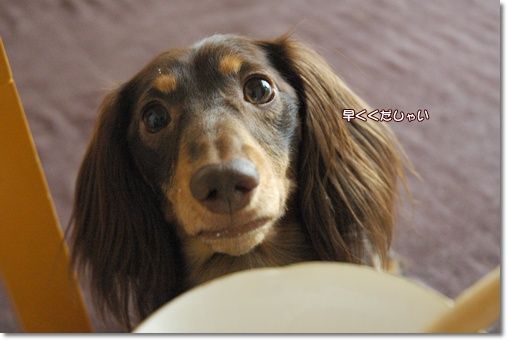 souther_20100828g