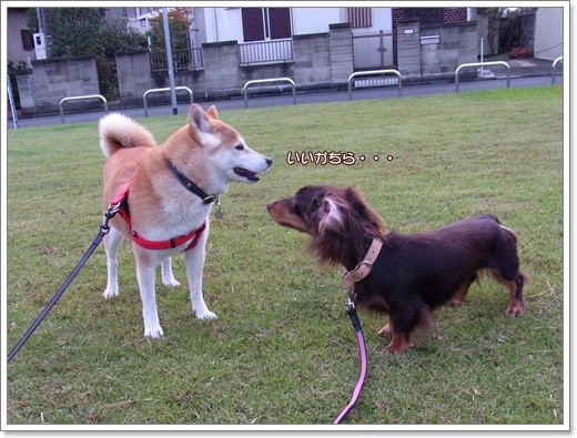 souther_20111117f