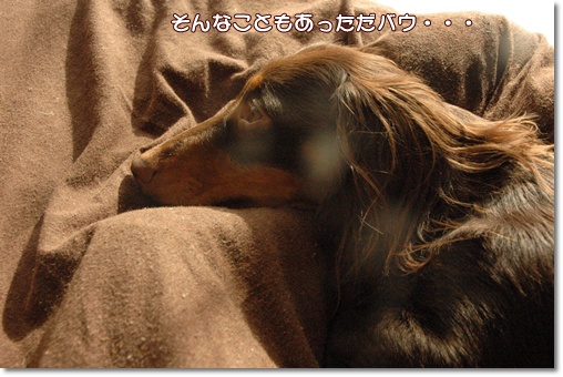 souther_20091219e