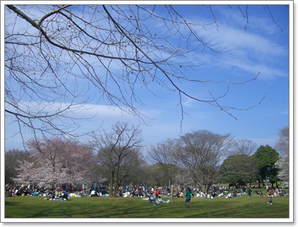 souther_20090406d
