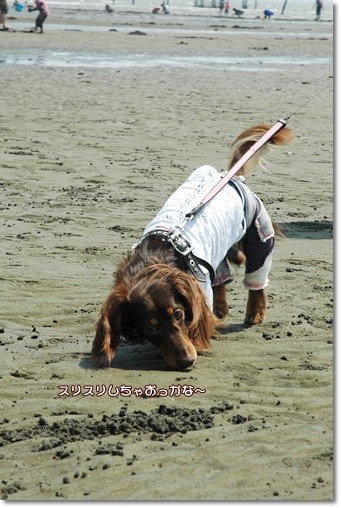 souther_20110607d