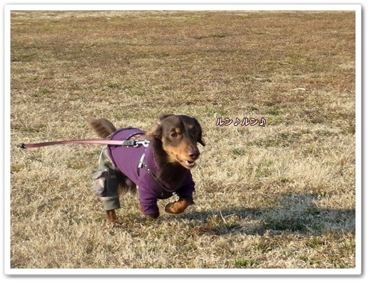 souther_20120227b