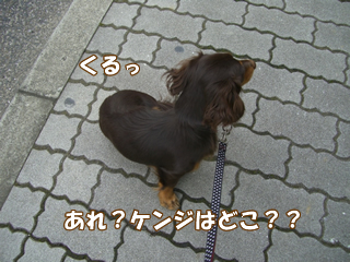 souther_20081112b