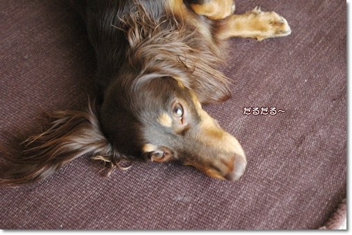 souther_20100526a