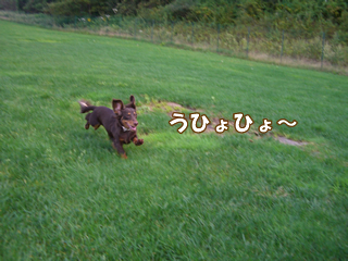 souther_20081230c