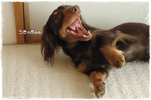 souther_20100109g