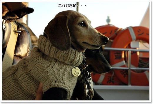 20110223i